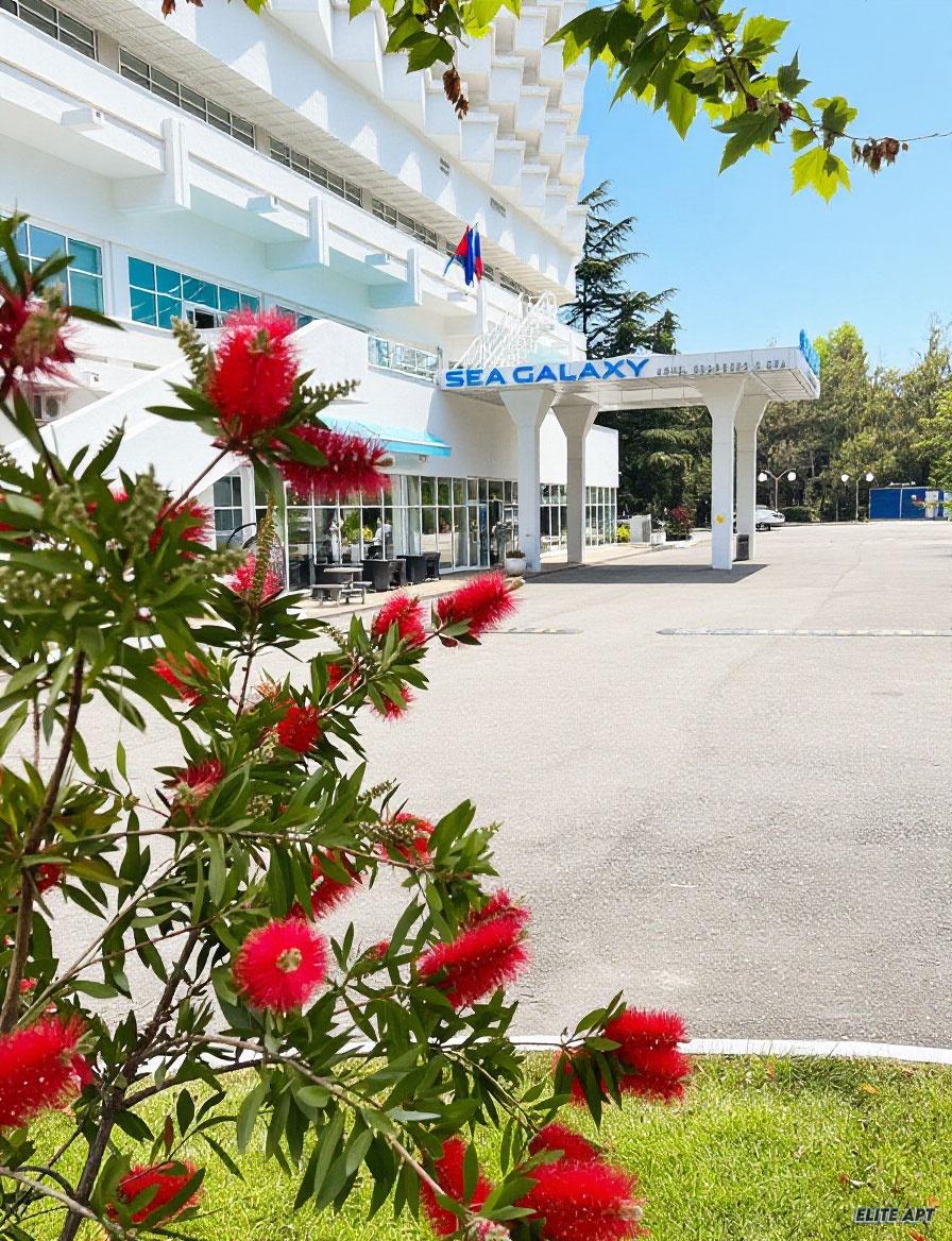 SEA GALAXY HOTEL CONGRESS&SPA (ОТЕЛЬ СИ ГЭЛАКСИ КОНГРЕСС ЭНД СПА)